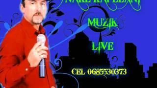 PIPZA  KARROCA E DYLIT LIVE 2013 [upl. by Guntar]