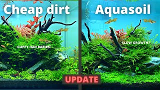 CHEAP DIRT vs EXPENSIVE AQUASOIL 2 MONTH UPDATE [upl. by Alarise127]