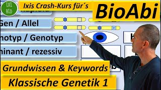 klassische Genetik 1a Grundwissen und Keywords [upl. by Alicsirp]