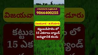 Land for Sale in Kattubadipalem  G Konduru  Vijayawada  కట్టుబడిపాలెం  9866400255 krishnadist [upl. by Crosby]