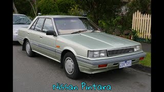 Nissan Pintara [upl. by Gerta]