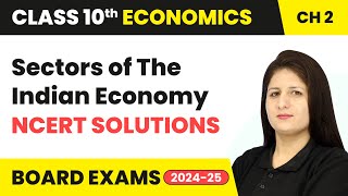 Sectors of The Indian Economy  NCERT Solutions  Class 10 Economics Chapter 2  CBSE 2024 [upl. by Llewop]