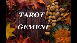 GEMENI ♊TAROT NOIEMBRIE 🍎VEȚI MEDITA ASUPRA UNOR TEME IMPORTANTE🌼🌟🍀💖 [upl. by Nitsirk969]