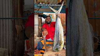 KASIMEDU🔥KUMAR 35KG😱MAHI FISH CUTTING VIDEOlifeoffisherman kasimedufishctting ytshorts [upl. by Nosirb]