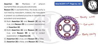 Assertion A Members of phylum Aschelminthes are pseudocoelomates \nReason R In aschelmint [upl. by Llevram]