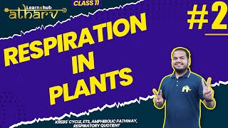 Respiration in Plants Class 11 Biology NCERT Chapter 11 2  Krebs Cycle ETS RQ  Atharv Batch [upl. by Euqor]