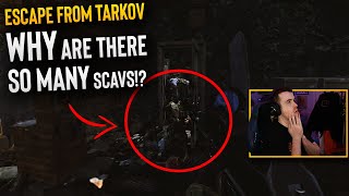 Why are there so many Scavs Escape from Tarkov [upl. by Enitsugua]