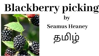 Blackberry picking by Seamus Heaney  தமிழ் sammary [upl. by Atteve]