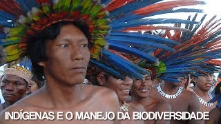 Fique Sabendo  quotIndígenas e o manejo da biodiversidadequot [upl. by Gnem446]