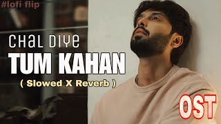 Chal diye tum kahan 🎶OST  Slowed X Reverb  KABHI MAIN KABHI TUM💕  Lofi Flip  lotsofeditx [upl. by Nivlam]