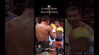 Marco Antonio Barrera Vs Erik el terrible morales [upl. by Amzaj]