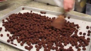 Recipe for Caramelized Dark Chocolate Hazelnuts [upl. by Ilatfen904]