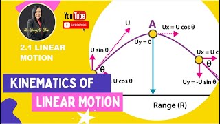 21 SUMMARY MOTION DIAGRAMS amp GRAPHS [upl. by Naol]