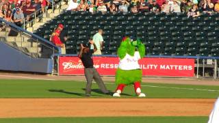 Phillie Phanatic Dances to Lady Gaga [upl. by Crystal]