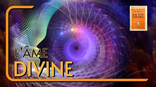 LÂME DIVINE  LIVRE AUDIO LA VIE DIVINE  Shri Aurobindo CH 1728 [upl. by Sherrill]