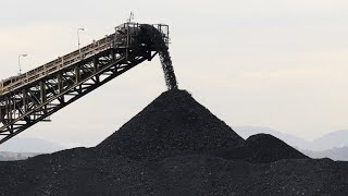 Coal price cap won’t have any impact on energy prices CEO NSW Minerals Council [upl. by Thomasina]