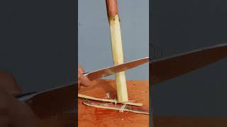 Peeling sugar cane is super satisfying 02 [upl. by Alleb]