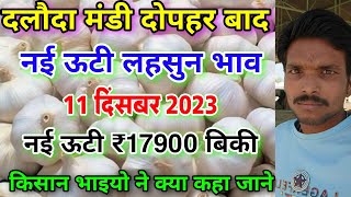 दलौदा मंडी दोपहर का नई ऊटी लहसुन का भाव 11 दिसंबर 2023 new ooty garlic rate today nai lahsun bhav [upl. by Alyose]