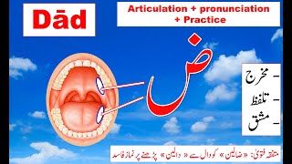 Makhraj of Daad Tajweed Quran free  Dwaad Tajweed  Quran online  pronunciation of Arabic letters [upl. by Dietsche]