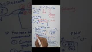 Equilibrium potential for an ion  شرح لمادة الفيسيولوجي بالعربي [upl. by Woodhead]