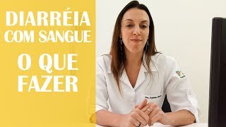 Bicho Saúde e Cia  Cachorro ou gato com diarreia com sangue o que fazer [upl. by Decca]