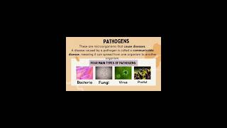 pathogens🦠🦠 types of pathogen virus trendingvideo viral science video ytshorts amazingscience [upl. by Haleelahk611]