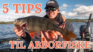 Peders 5 abbortips  Utstyr til abborfiske Stenger liner snelle baits [upl. by Wack256]