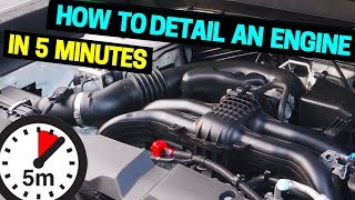 Clean amp Detail Your Car Engine in 5 Minutes [upl. by Enaira]