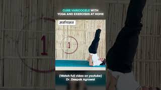 Yoga Aasan for Varicocele at Home  Part 12 varicoceletreatment yogaasanas [upl. by Larianna]