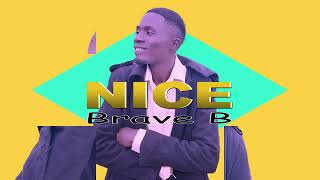 Bravel BNice official music audio [upl. by Nerhe]