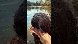 Intense Lice Removal with Comb  Satisfying Hair Cleaning satisfying [upl. by Ilak]