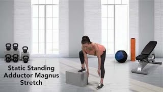 How to do a Static Standing Adductor Magnus [upl. by Enneirda]