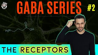 The ABCs of GABA Receptors [upl. by Nwahsek]