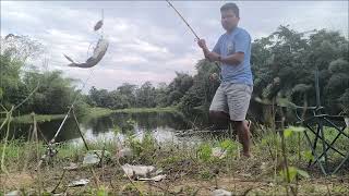 Catching big two katla fish in lake 2½ KG [upl. by Soirtemed]