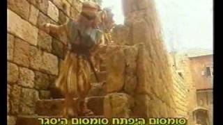 adiga pim pam עלי באבא [upl. by Auhs]