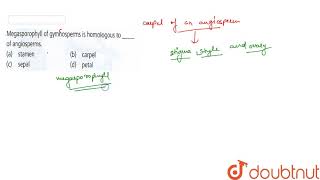Megasporophyll of gymnosperms is homologous to  of angiosperms [upl. by Apfelstadt]