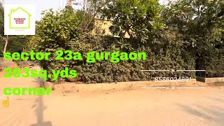 Sector 23a Gurgaon  263sqyds  425cr  corner property  Gurgaon dream vlogs [upl. by Welford]