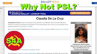 quotWhy Not PSLquot Thoughts on the US Elections Obstacles to the US Left Bernie Sanders DSA amp More [upl. by Toscano]