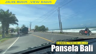 VIEW SAWAH DAN PANTAI  Perjalanan Dari Gilimanuk  Denpasar Lewat Jalur Pansela Bali [upl. by Marlea]