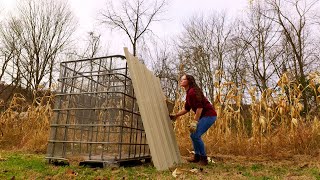 Harvesting our field corn for chicken feed Ep 212 [upl. by Aij647]