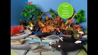 Wildlife amp Ocean Animal Small World Diorama  Learn Animal Names [upl. by Cooper]