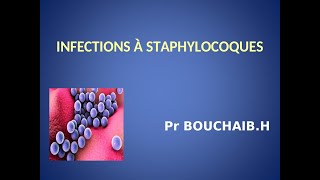 Infections à staphylocoques [upl. by Valleau963]