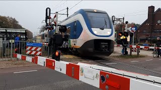 20231112 1610 uur Station Den Dolder aankomstvertrek NS SLT 2438 [upl. by Anid889]