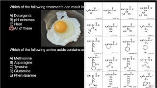 What causes proteins denature [upl. by Naloj]