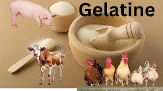 Gelatine Secrets  How gelatine made  Benefits of gelatine [upl. by Atalaya]