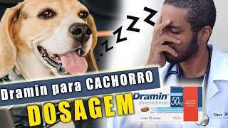 Pode dar DRAMIN para cachorro dosagem – Instruções básicas [upl. by Ahsiuqal979]