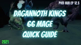 REVOLUTION Guide to Dagannoth Kings  LOW LEVEL GUIDE  2021  The PvM Hub Ep 125 [upl. by Tye]