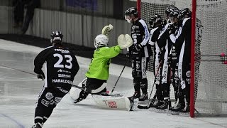 ❉Svenska Bandy Elitserien❉De bästa stunder av matchen 15116 SAIK Hammarby 44 12 [upl. by Yadnus951]