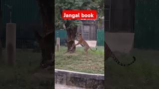 Jungle book youtubeshorts like funny views zooparkvlog trending viralshort viralvideo zoo [upl. by Ettevey]