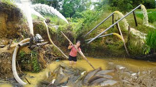 Full video Modern technology use 4 pumps to suck 200 blocks of wild lake Catch fish to sell [upl. by Aisenet]